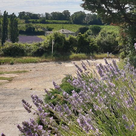 Le Clos Du Grand Chene - Gites 4 Etoiles - Saint-Marcel-d'Ardeche Esterno foto
