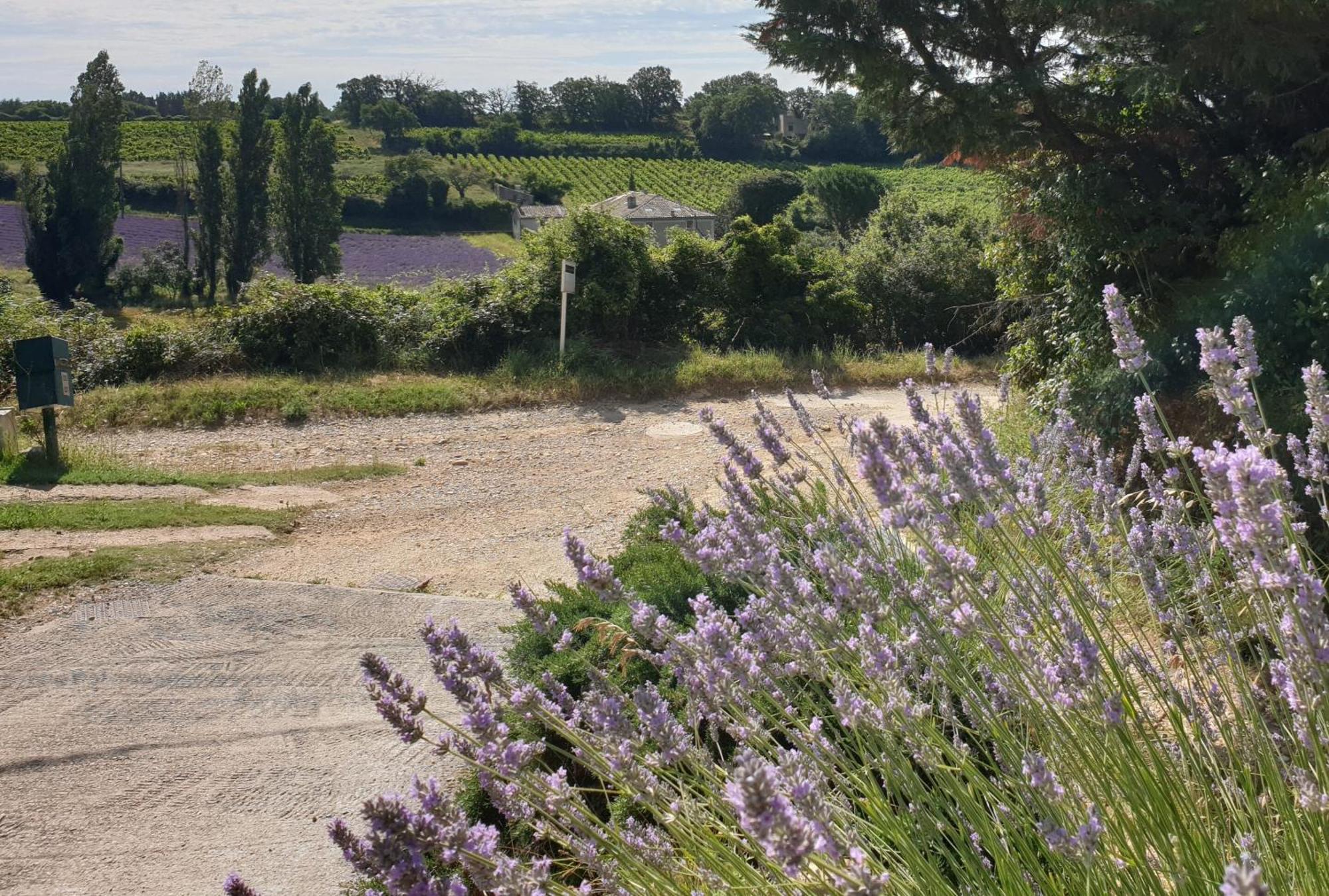 Le Clos Du Grand Chene - Gites 4 Etoiles - Saint-Marcel-d'Ardeche Esterno foto